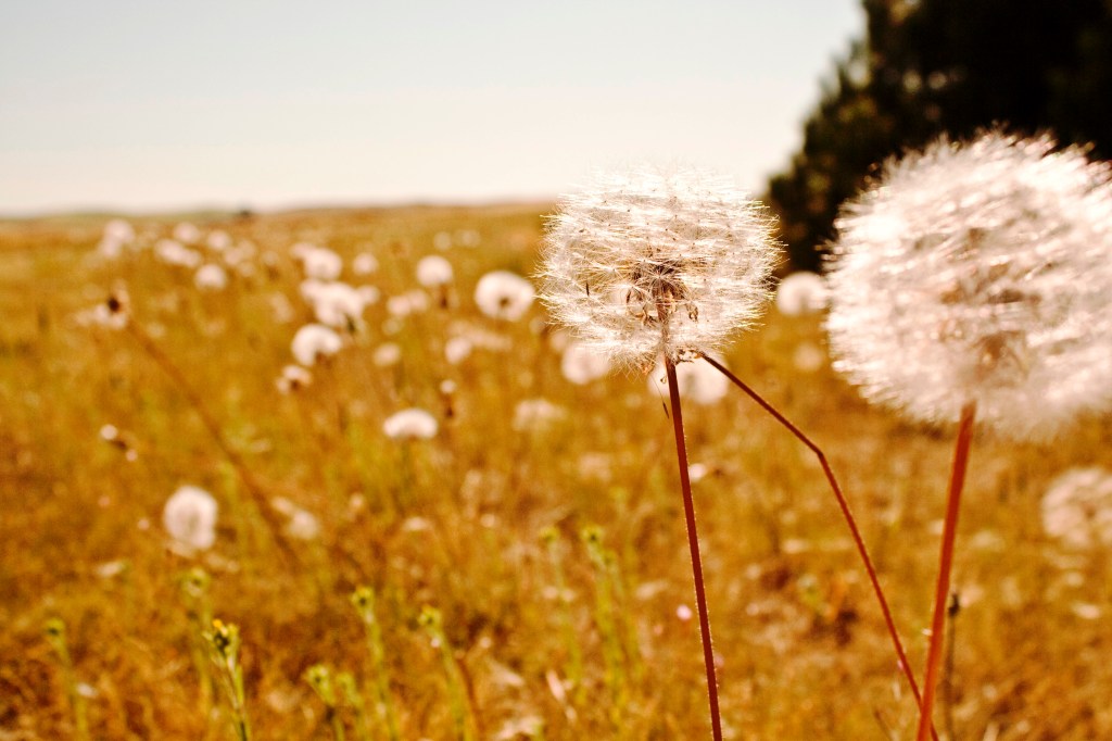 Just Because He&nbsp;Breathes…